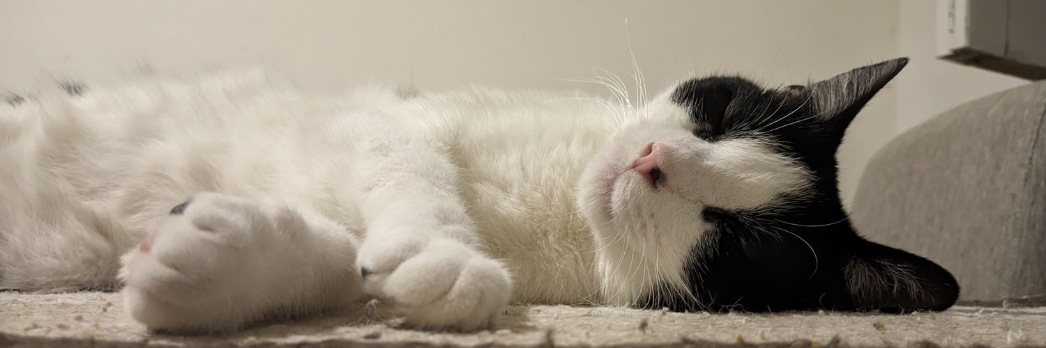 Chapita 🇺🇦☀️ banner