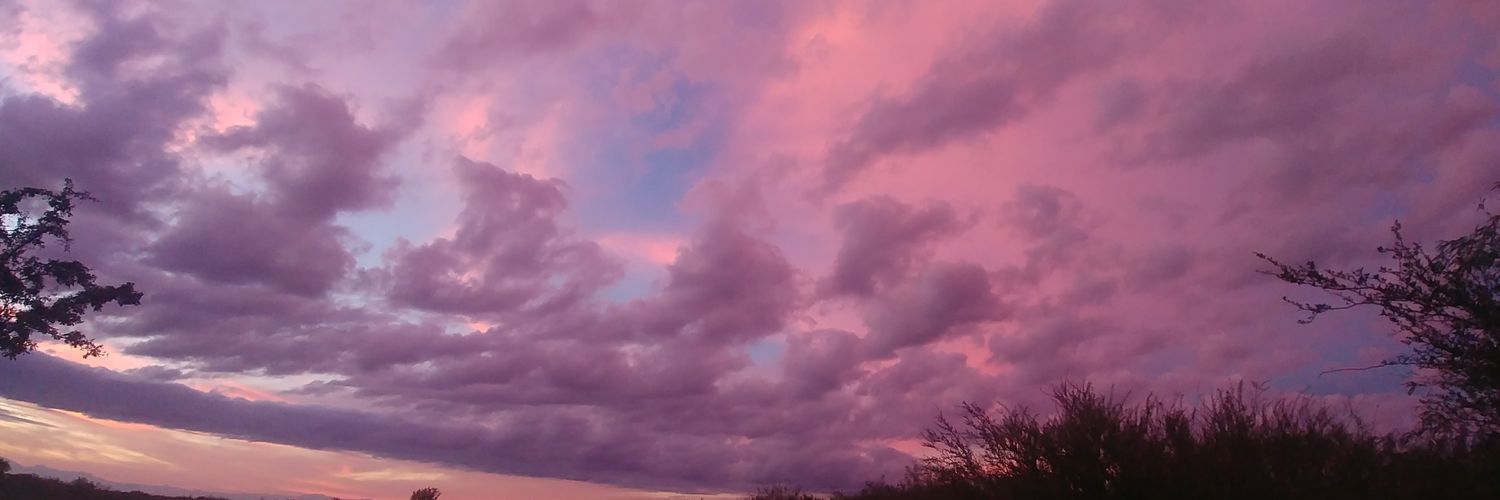 docamaro's profile banner image