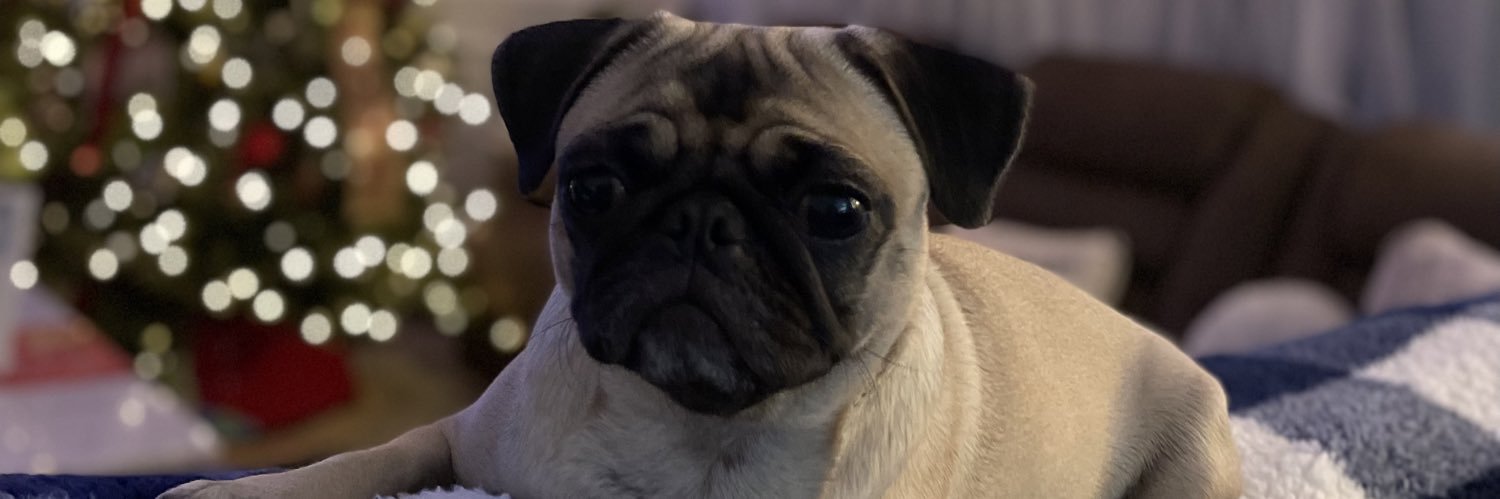 AlexLtp23's profile banner image