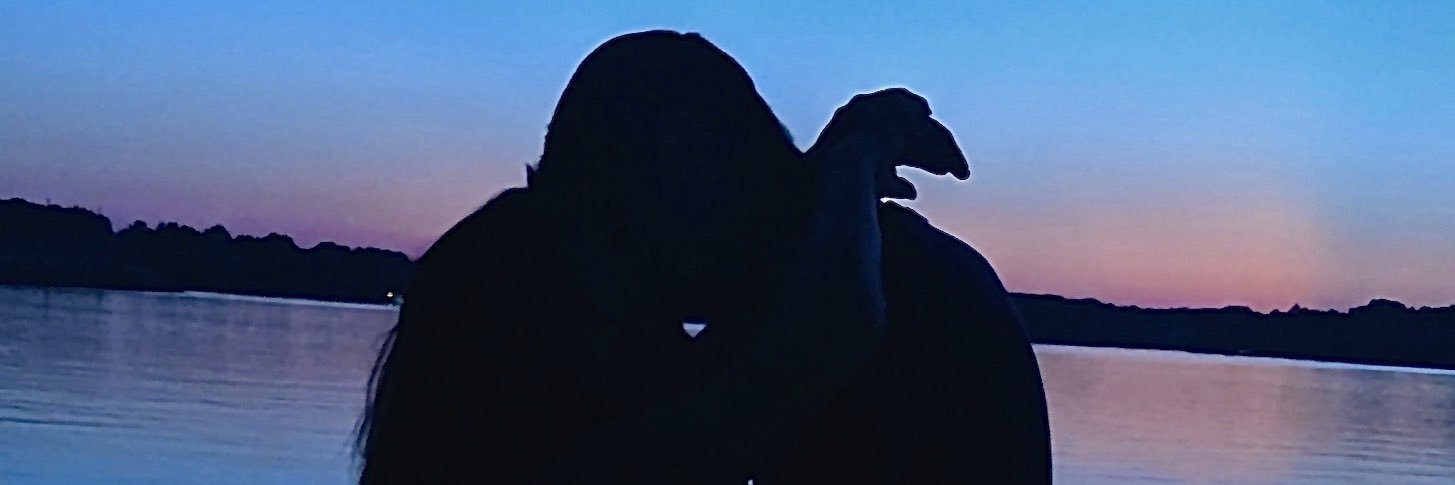 BrokenCodeTV's profile banner image