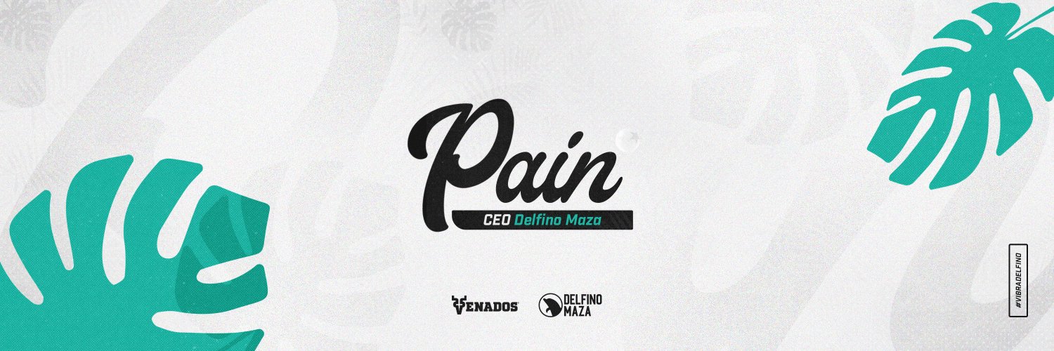 Pain 🐬 banner