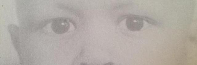 Rosaleen Perry banner