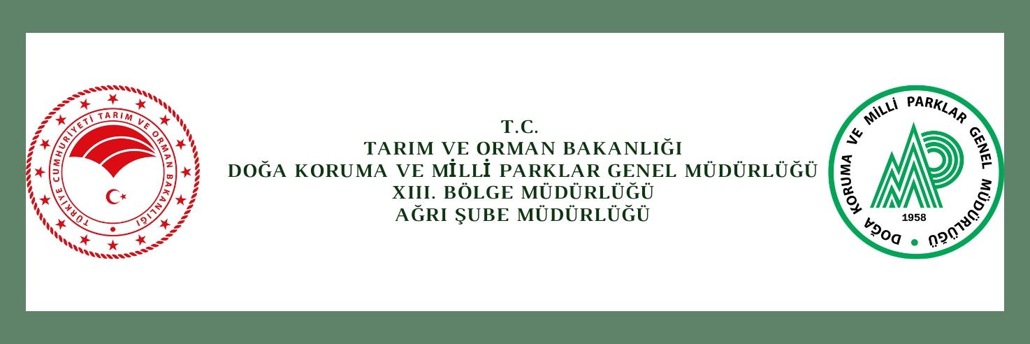Ağrı DKMP banner