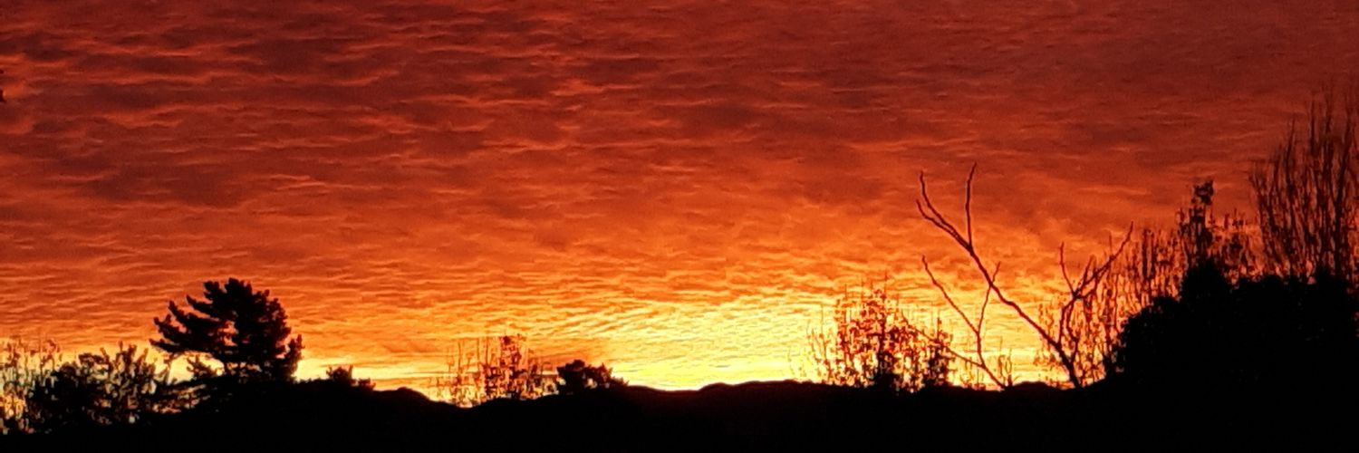 The Red Dragon banner