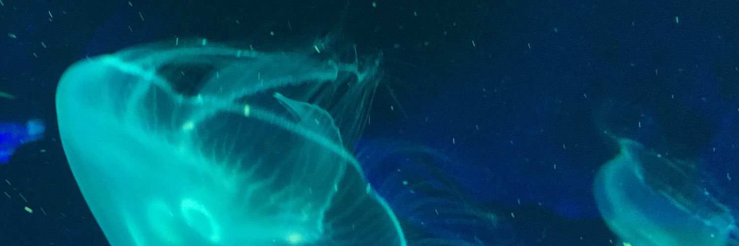 IraidesJimenez's profile banner image