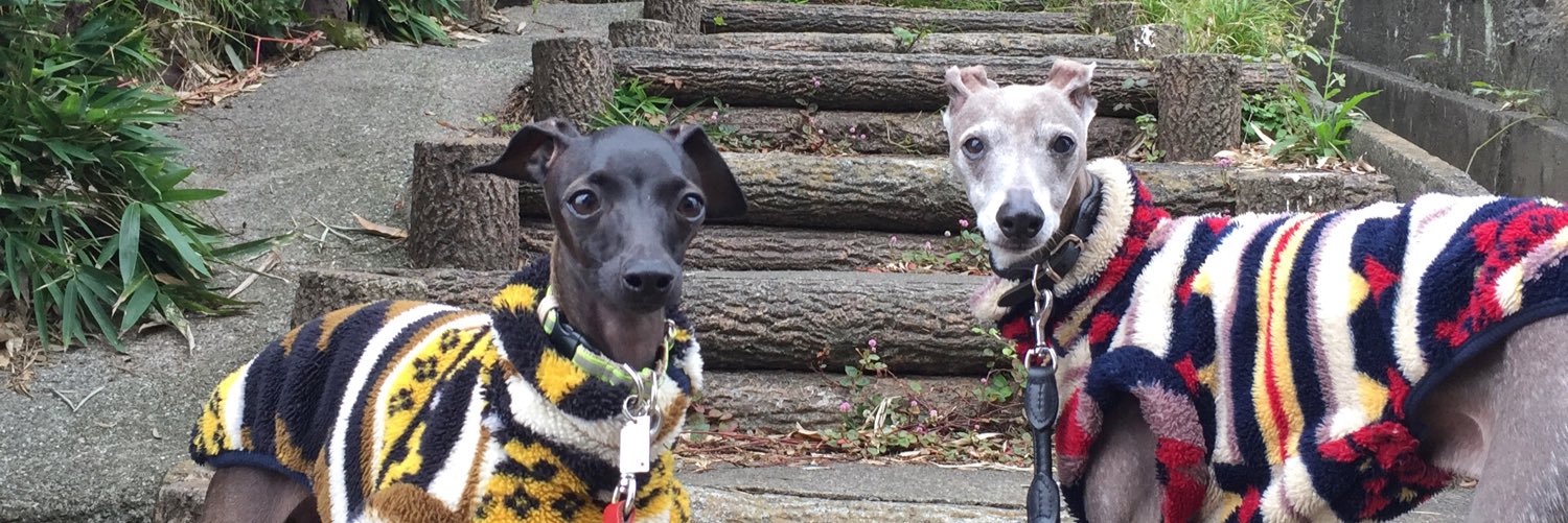 dogs_muzzles's profile banner image