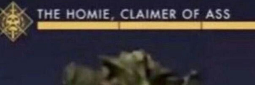Turt banner
