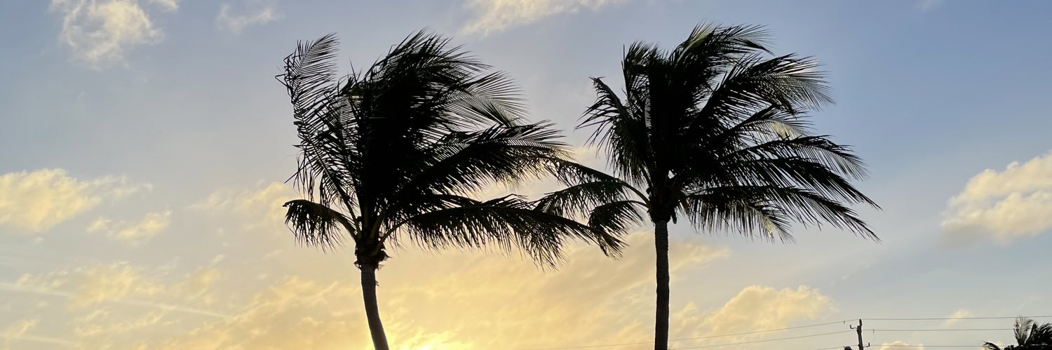 gabyace28's profile banner image