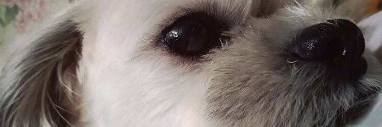 _bonbonb's profile banner image
