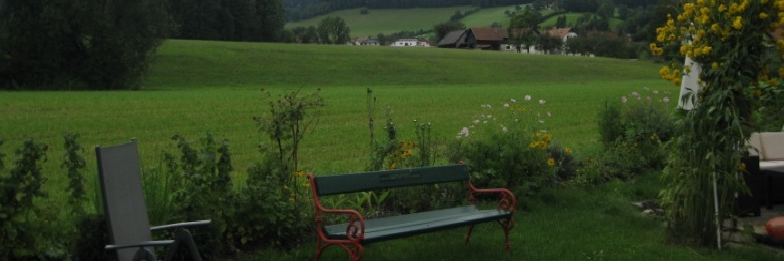 Maurollconde's profile banner image