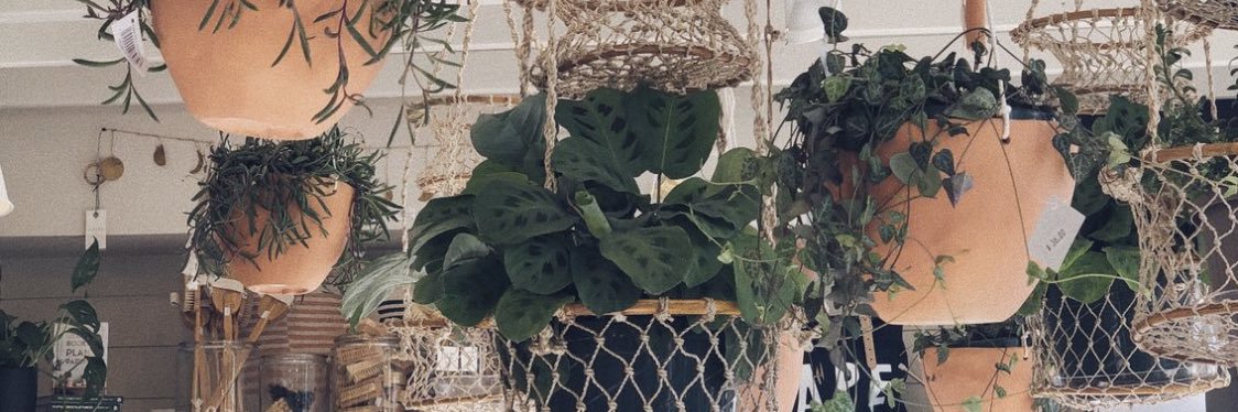Lexwhitee_'s profile banner image