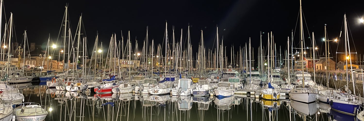 Vox populi, vox dei banner