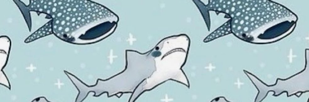 sofiacapece's profile banner image