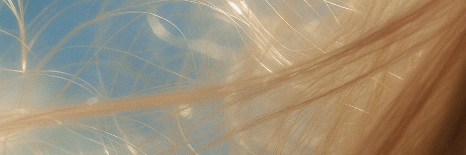 zeusrectra's profile banner image