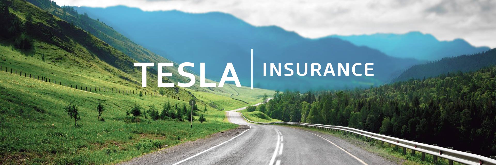 Tesla Insurance banner