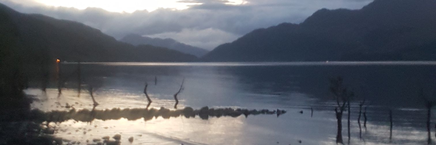 rachel holyhead banner