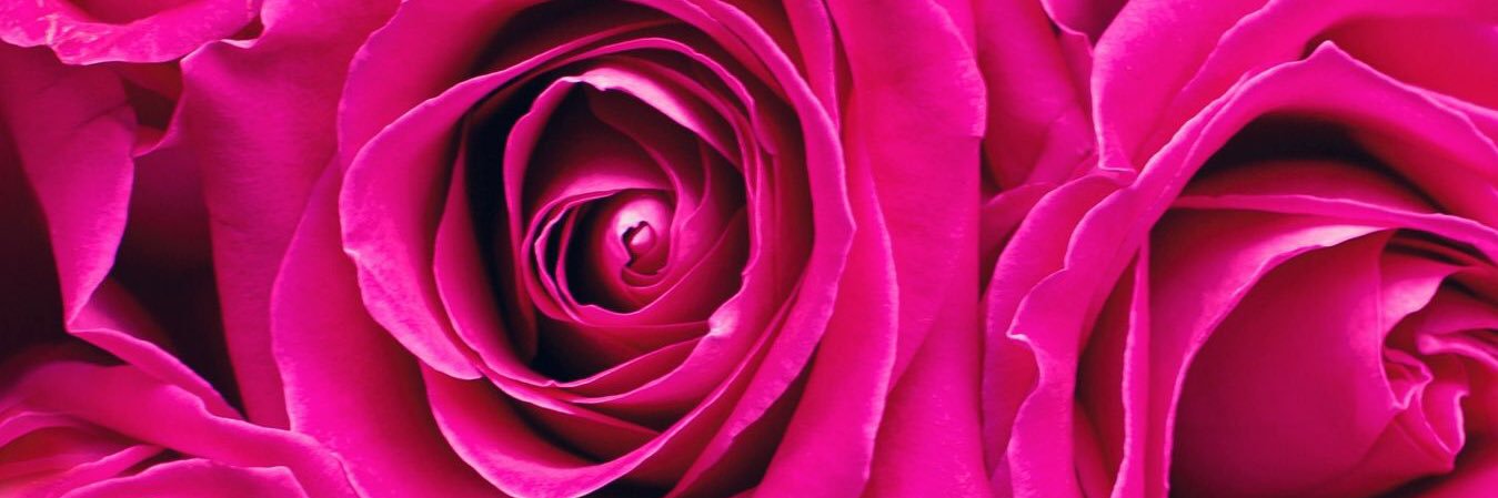 JenniferMalinit's profile banner image
