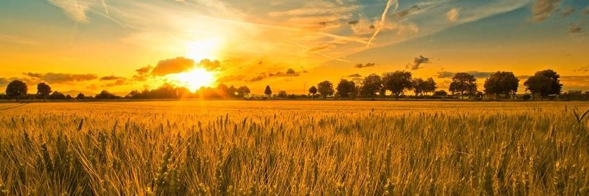 Николай Азаров banner