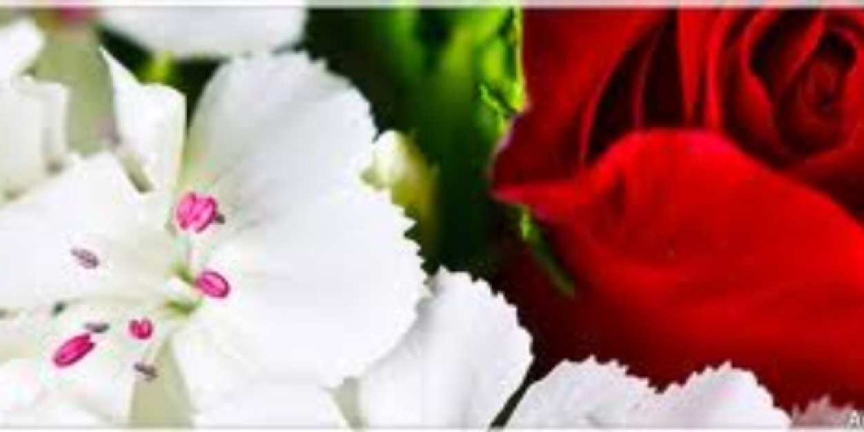 .. banner