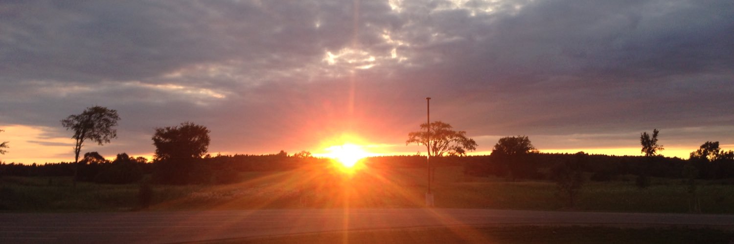 CassandraNic's profile banner image