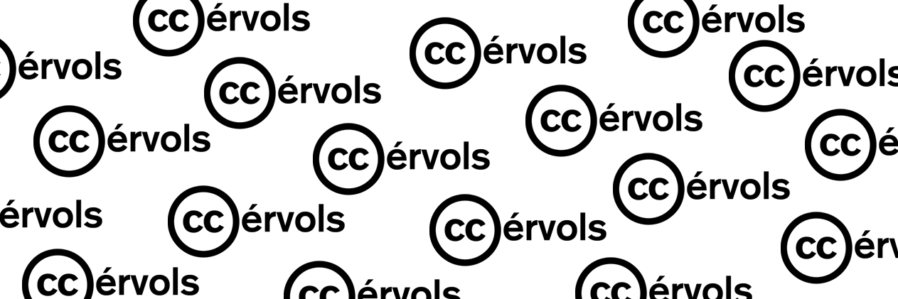ccervols's profile banner image