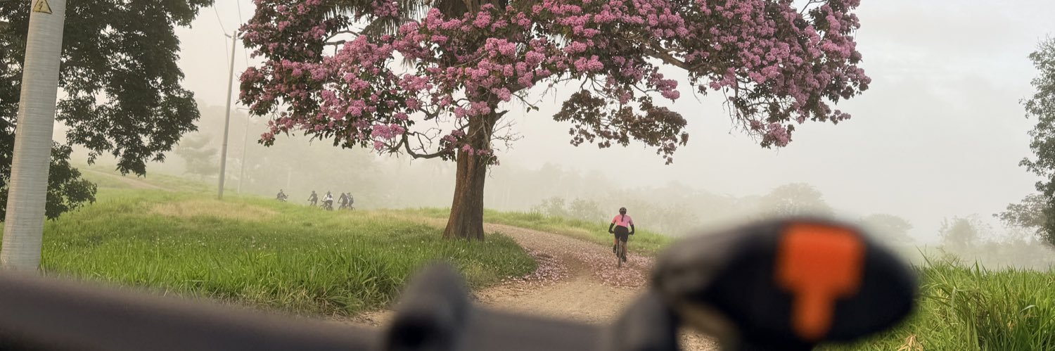 Haiber German banner