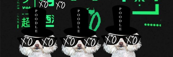 XO Profile Banner