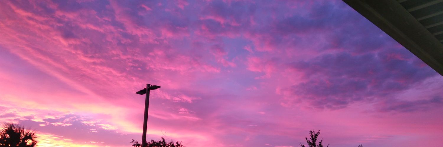 samsays1306's profile banner image