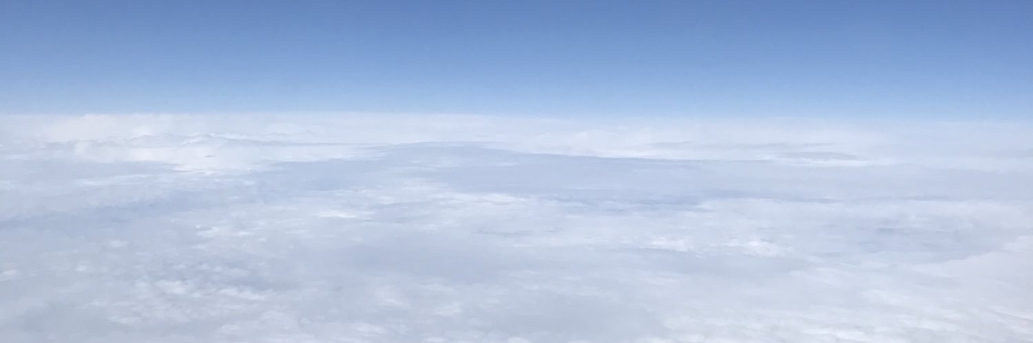 Jelena Striskovic banner