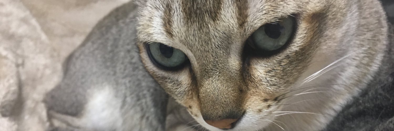 moyongrt's profile banner image
