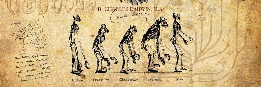 DarthCentrurus's profile banner image