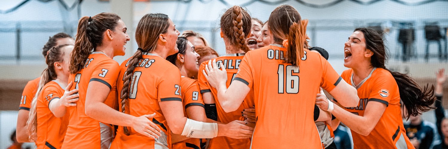 Findlay Volleyball banner