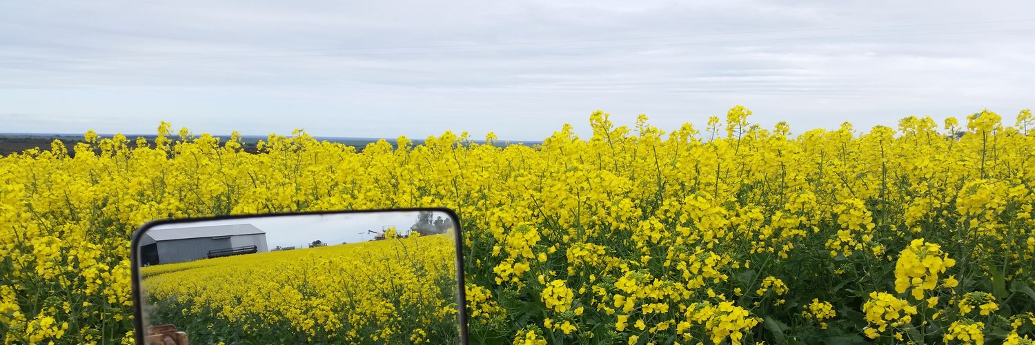 Philipjohnmart3's profile banner image