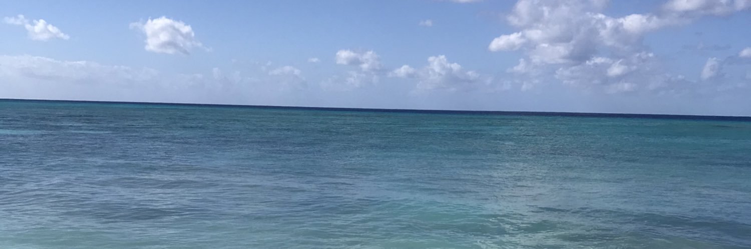MsBullitt007's profile banner image