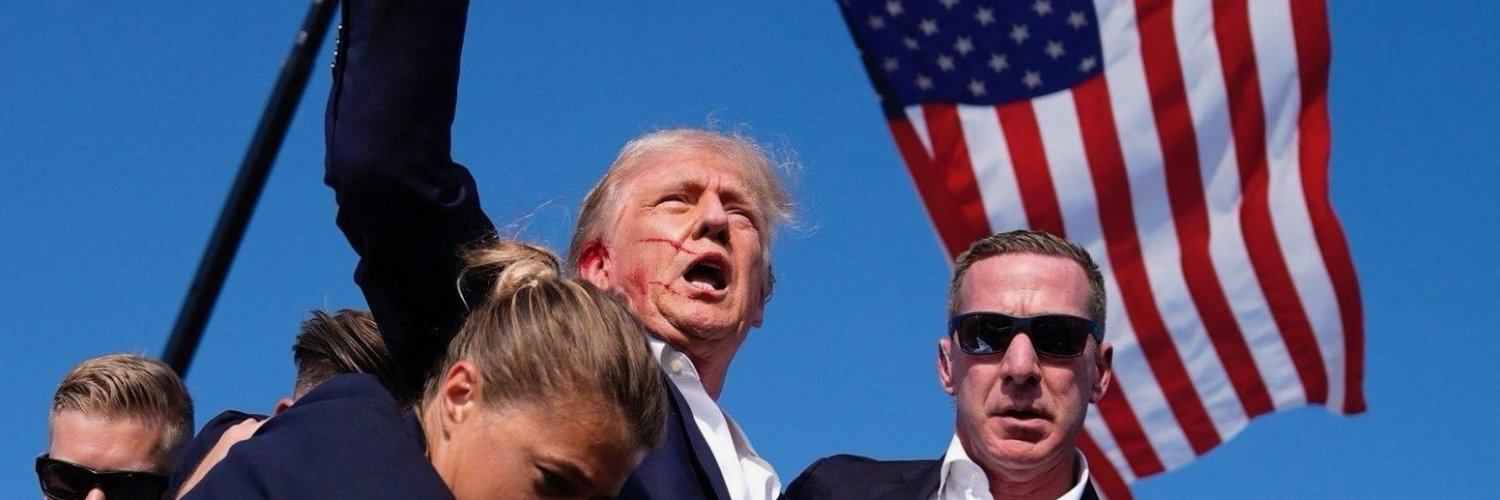 David Pacansky banner