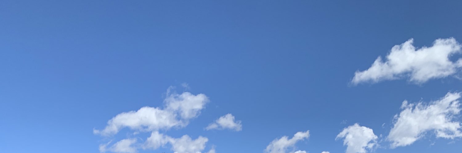 rikchy's profile banner image