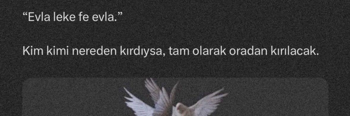 Ayşe banner