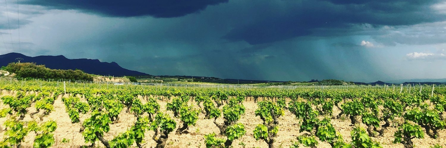 BodegasMitarte's profile banner image
