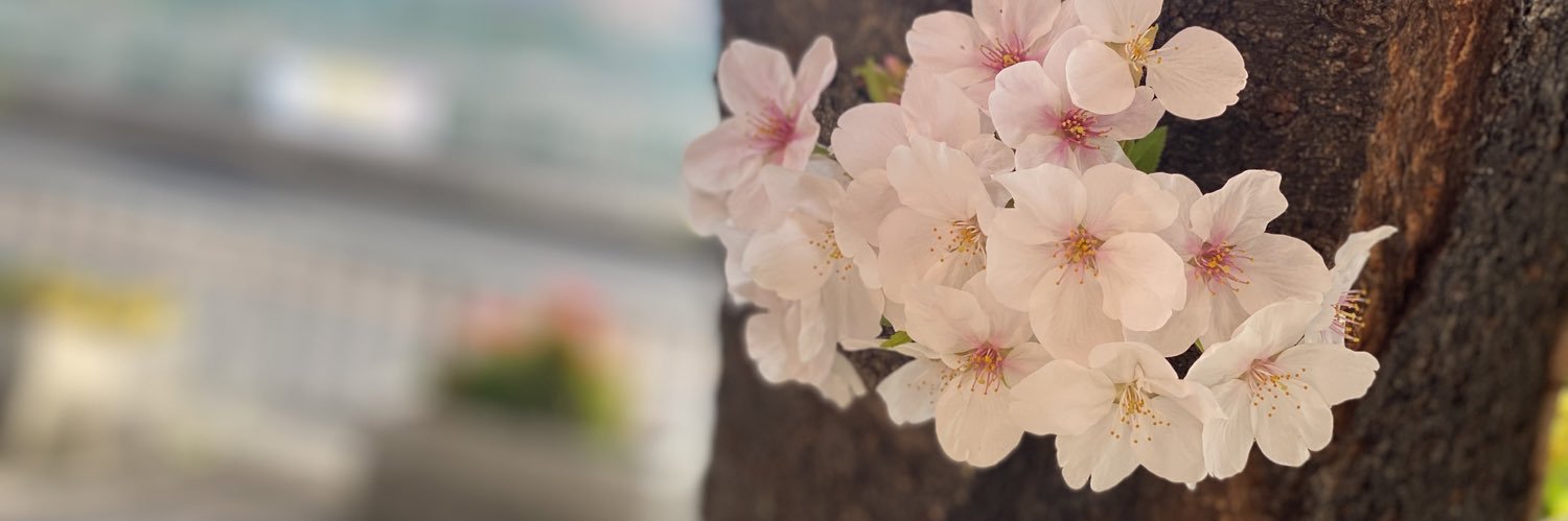 さっく banner