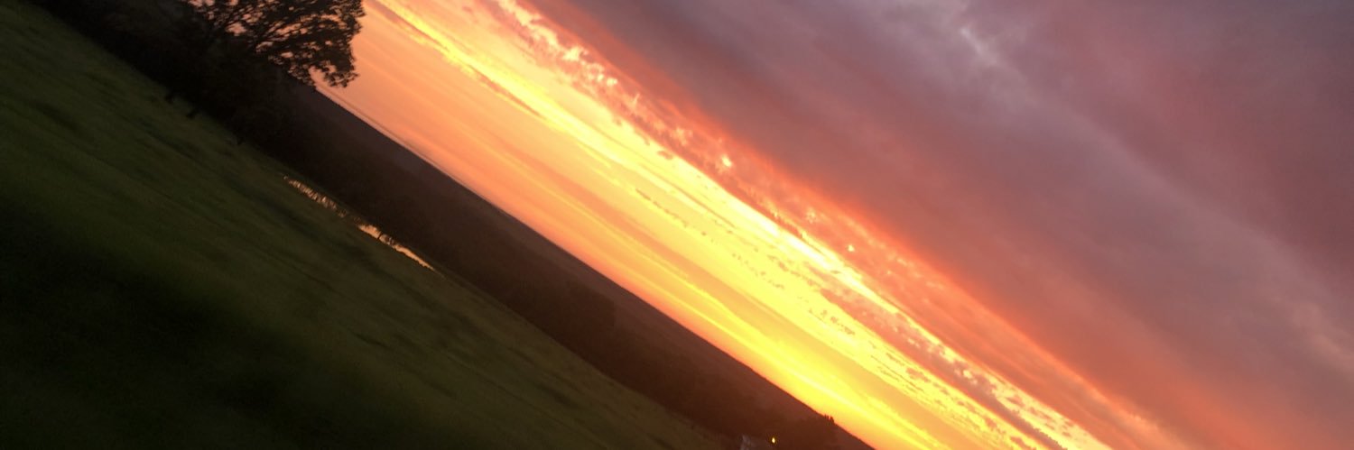 belllaaaboo's profile banner image