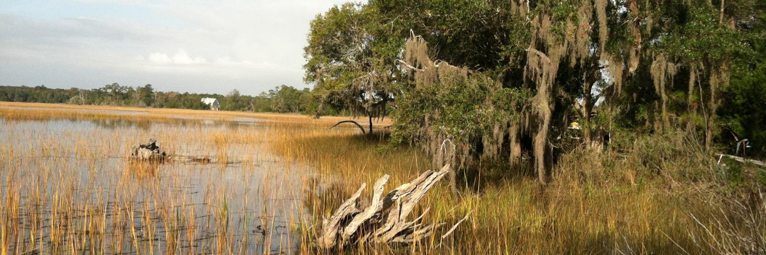 Lisa Weismann banner