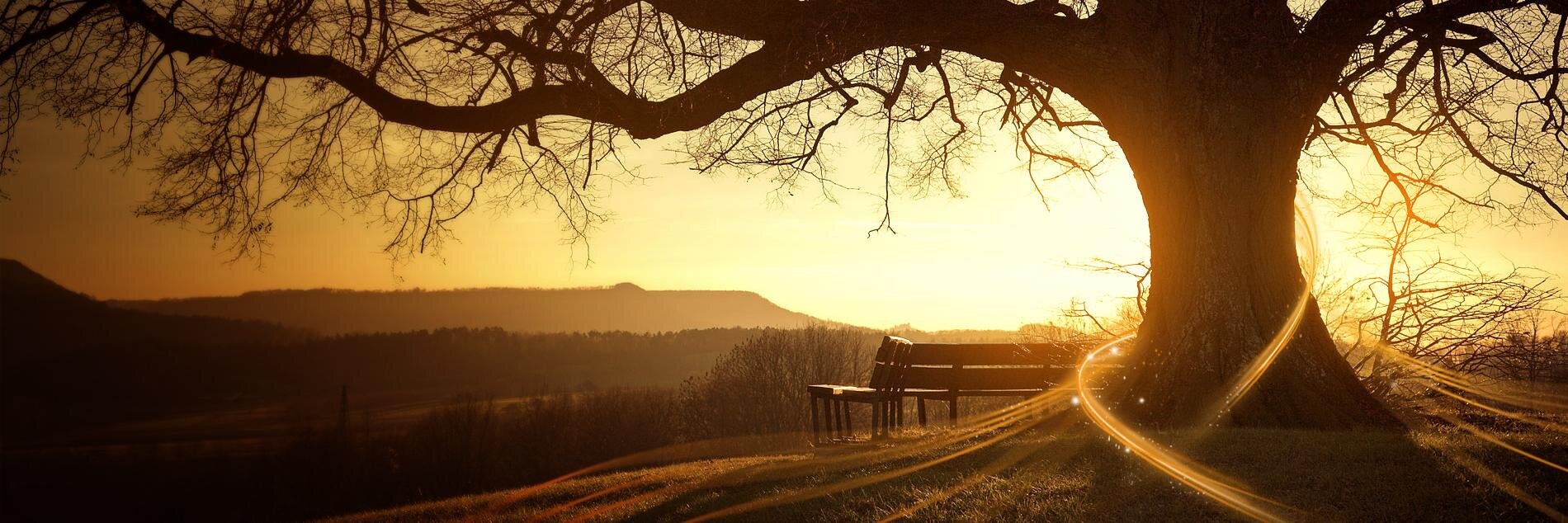 ybethmarin's profile banner image
