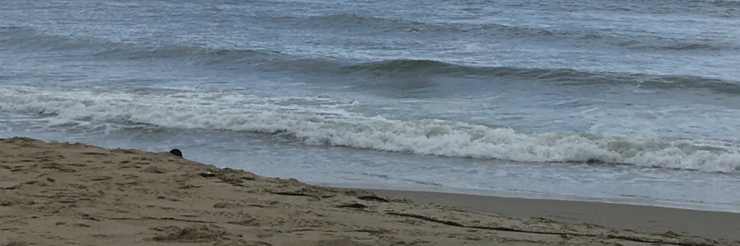 CPendletonDPT's profile banner image