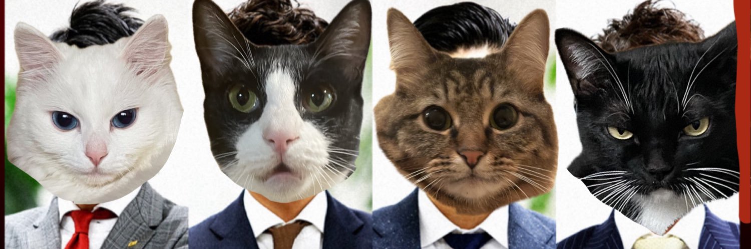 katze510's profile banner image