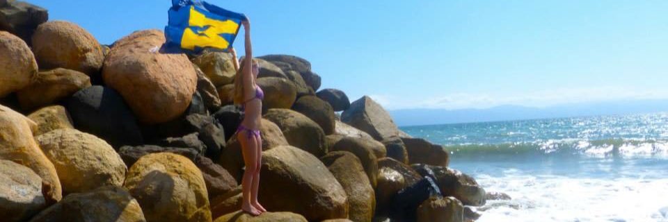 lilfishD's profile banner image