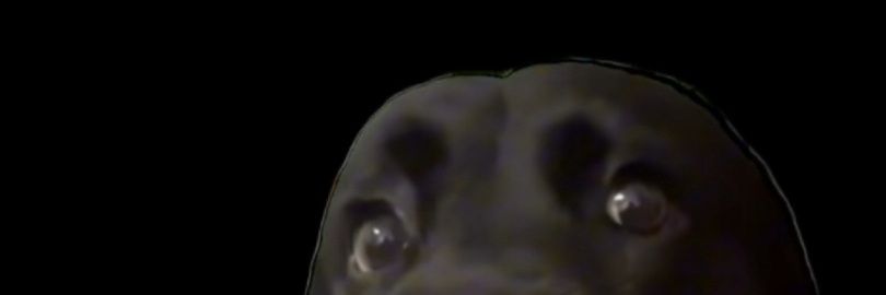 ronfm23's profile banner image