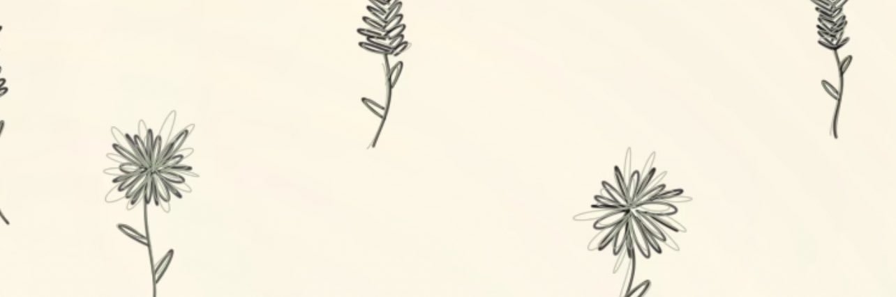 thesierraaaa's profile banner image