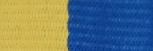 Daniel Wengelin🇸🇪🇺🇦 banner