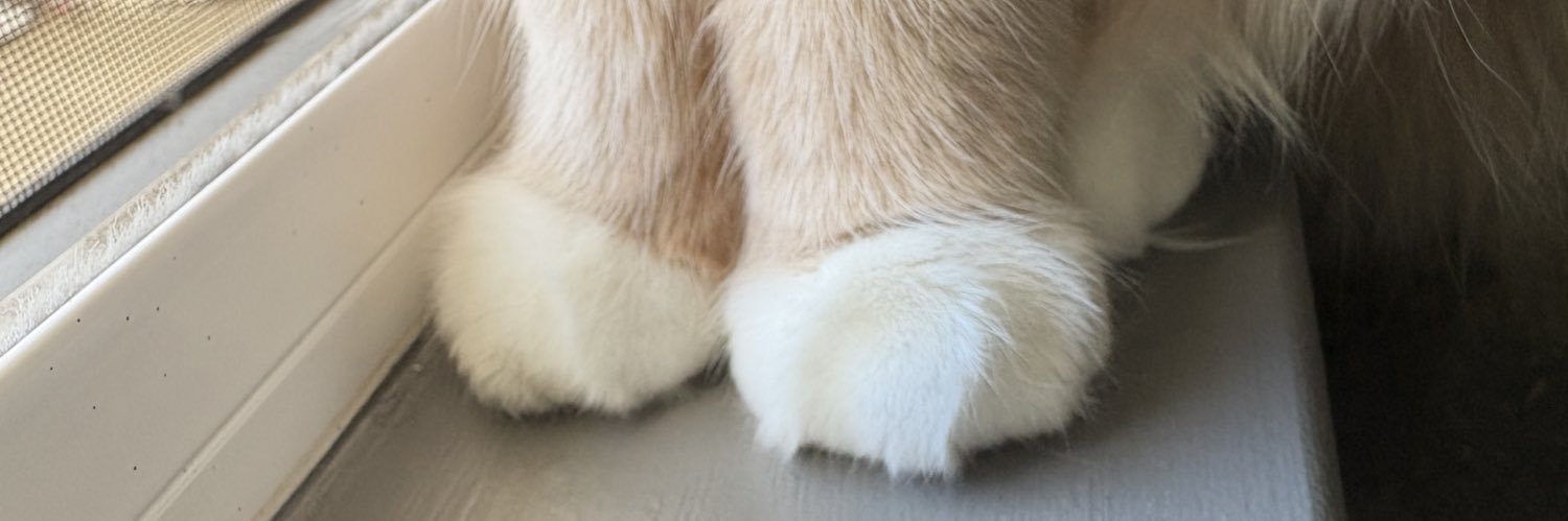 d_frankkk's profile banner image