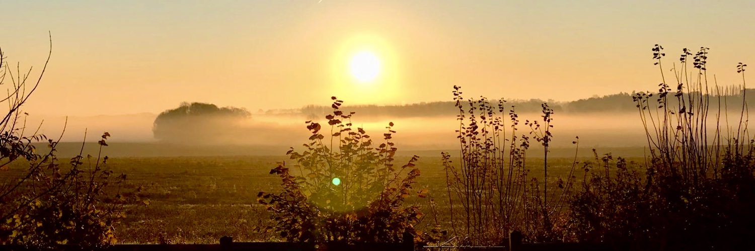 Barney Wilkinson banner